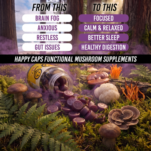 Functional Mushroom Gummies